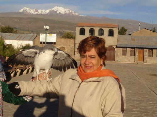 Fotografia de heriberto - Galeria Fotografica: Arequipa, Tierra y Hombre - Foto: 