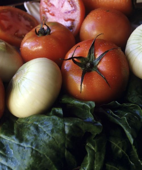 Fotografia de DISEO FOTO GRAFICO - Galeria Fotografica: alimentos - Foto: 