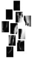 Fotos de DISEO FOTO GRAFICO -  Foto: Desnudos en blanco y negro - 