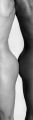 Fotos de DISEO FOTO GRAFICO -  Foto: Desnudos en blanco y negro - 