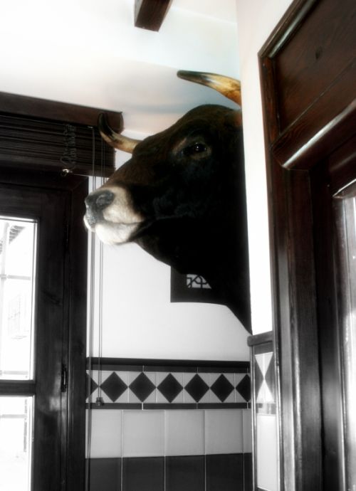 Fotografia de juardman - Galeria Fotografica: light hunter - Foto: 