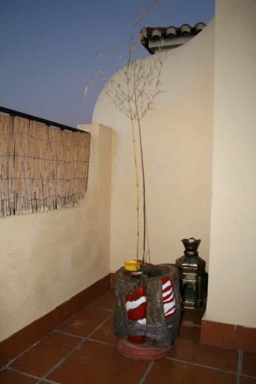 Fotografia de juardman - Galeria Fotografica: light hunter - Foto: 