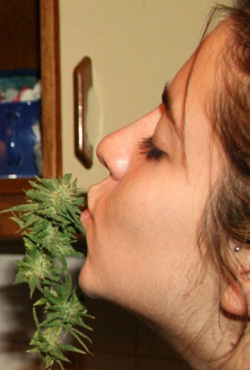 Fotografia de juardman - Galeria Fotografica: light hunter - Foto: 