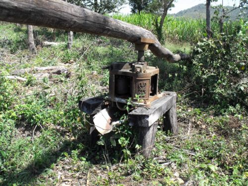 Fotografia de alex lopez - Galeria Fotografica: viajes 2010 - Foto: 