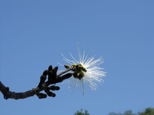 Fotografia de alex lopez - Galeria Fotografica: viajes 2010 - Foto: fauna