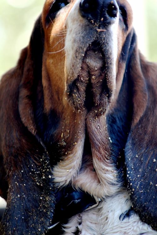 Fotografia de mariposamanti - Galeria Fotografica: recuerdos - Foto: 