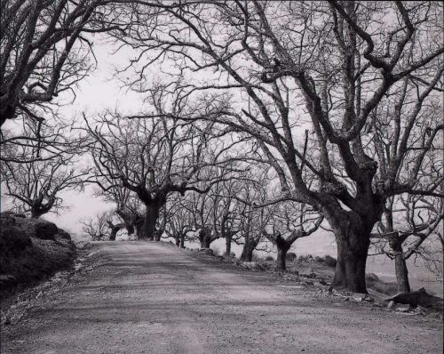 Fotografia de Imagen Dirk Borms - Galeria Fotografica: La Vera II - Foto: 