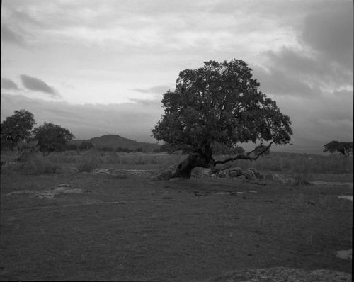 Fotografia de Imagen Dirk Borms - Galeria Fotografica: La Vera II - Foto: 