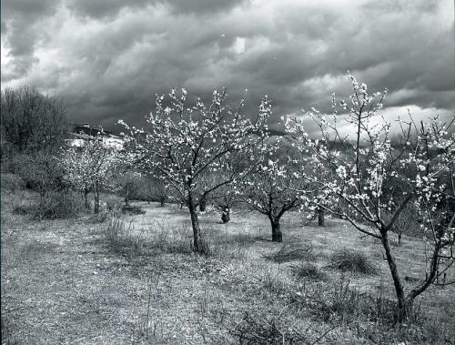 Fotografia de Imagen Dirk Borms - Galeria Fotografica: La Vera II - Foto: 