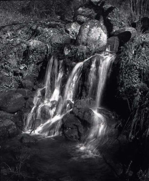 Fotografia de Imagen Dirk Borms - Galeria Fotografica: La Vera II - Foto: 