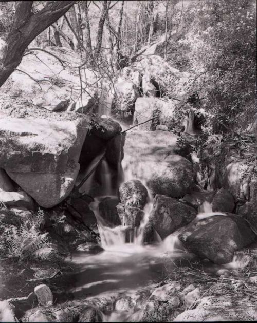 Fotografia de Imagen Dirk Borms - Galeria Fotografica: La Vera II - Foto: 