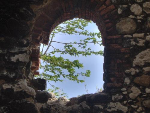 Fotografia de Omaris Creations - Galeria Fotografica: Puerto Rico - Foto: Ventana del Molino