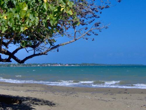 Fotografia de Omaris Creations - Galeria Fotografica: Puerto Rico - Foto: Playa Brandery en Guayama