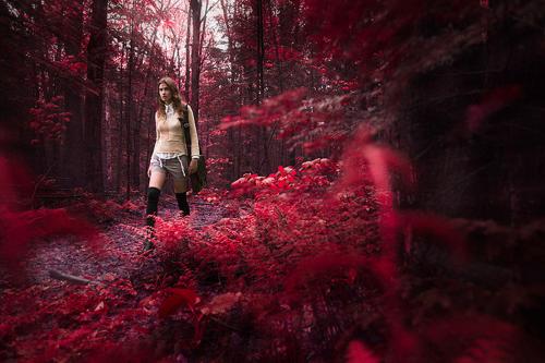 Fotografia de alejo - Galeria Fotografica: lavanderia - Foto: 