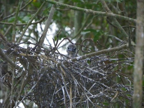 Fotografia de somoza - Galeria Fotografica: Atraves de mi lente ... - Foto: 