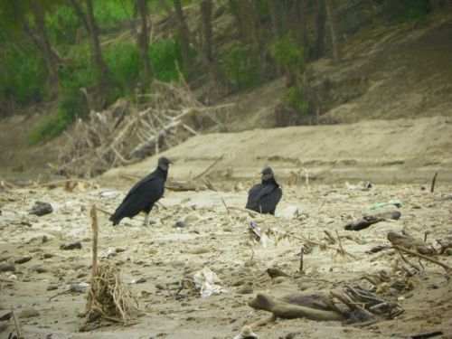 Fotografia de somoza - Galeria Fotografica: Atraves de mi lente ... - Foto: 