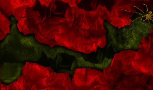 Fotografia de Traslucido - Galeria Fotografica: Claroscuro - Foto: La trampa