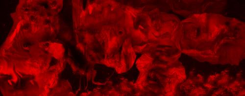 Fotografia de Traslucido - Galeria Fotografica: Claroscuro - Foto: El infierno