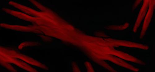 Fotografia de Traslucido - Galeria Fotografica: Claroscuro - Foto: Perpetuo