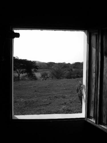 Fotografia de Ruth - Galeria Fotografica: blanco y negro..... - Foto: ventana
