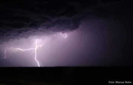 Fotografia de Marcos Daniel - Galeria Fotografica: Mis fotos - Foto: Naturaleza Viva