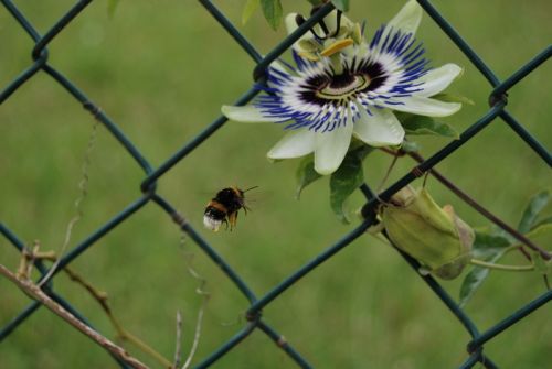 Fotografia de tiri - Galeria Fotografica: vida - Foto: mia