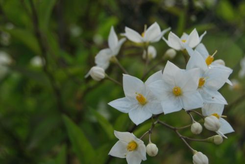 Fotografia de tiri - Galeria Fotografica: vida - Foto: vida