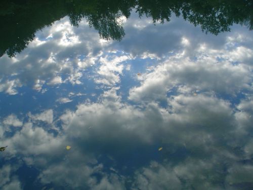 Fotografia de tiri - Galeria Fotografica: vida - Foto: azul