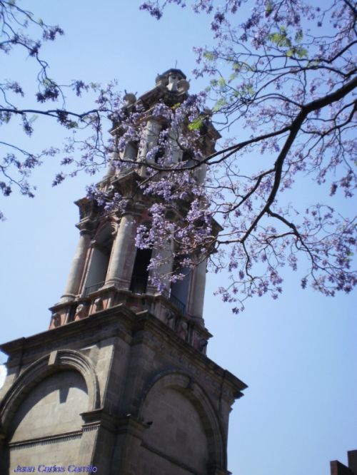 Fotografia de J.C.CARRILLO - Galeria Fotografica: Dialogos con la naturaleza - Foto: 