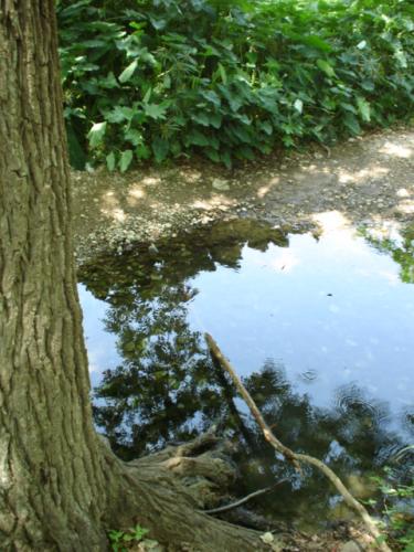 Fotografia de Tanya - Galeria Fotografica: mensajes ocultos - Foto: sin ellas