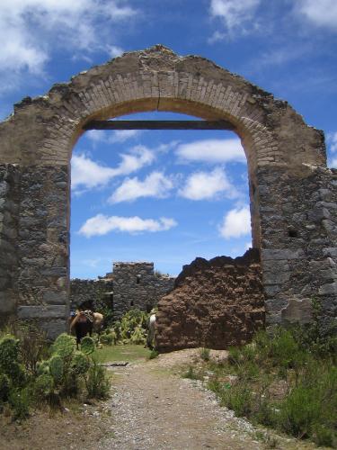 Fotografia de Tanya - Galeria Fotografica: mensajes ocultos - Foto: 