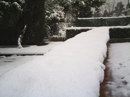 Fotografia de Erik - Galeria Fotografica: Nevada - Foto: Nieve en arbusto