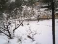 Fotos de Erik -  Foto: Nevada - Nieve en la huerta