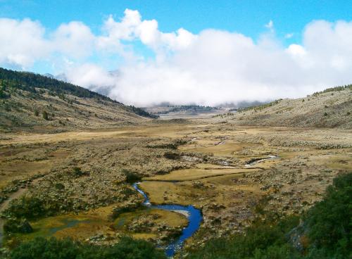 Fotografia de Lester Paredes - Galeria Fotografica: Venezuela - Foto: Laguna de Mucubaji - Mrida