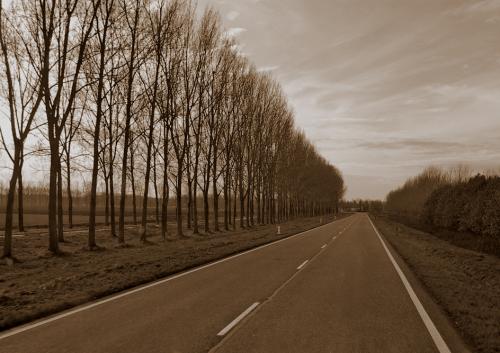 Fotografia de Lester Paredes - Galeria Fotografica: Holanda - Foto: Camino