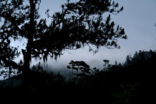 Fotografia de Marciel Frias - Galeria Fotografica: Algunos paisajes de mi pas - Foto: Amanecer Valle Nuevo