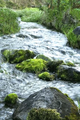Fotografia de Marciel Frias - Galeria Fotografica: Algunos paisajes de mi pas - Foto: Ro Valle Nuevo