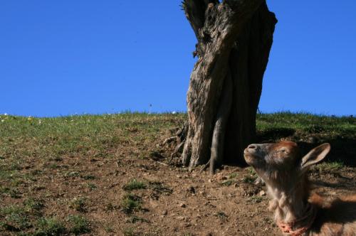 Fotografia de Fotos Grisu - Galeria Fotografica: Mis comienzos - Foto: sacame de perfil