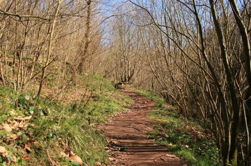 Fotografia de Fotos Grisu - Galeria Fotografica: Mis comienzos - Foto: Camin de las xanas