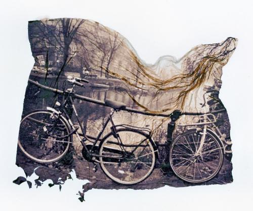 Fotografia de Conchi Martnez - Galeria Fotografica: Otoo en Amsterdam - Foto: 