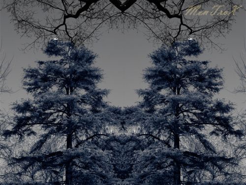 Fotografia de mentrox - Galeria Fotografica: Sanlucar de Barrameda y alrededores - Foto: 