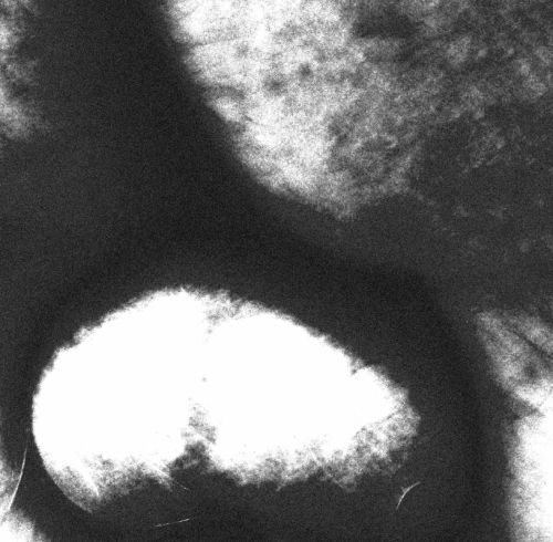 Fotografia de fotovite - Galeria Fotografica: Cosmogona - Foto: Region cosmica aleatoria