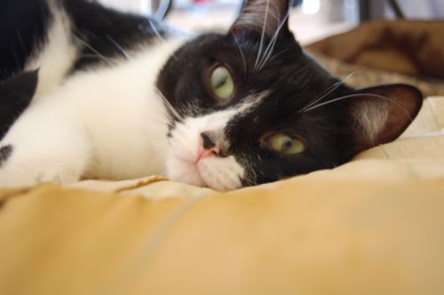 Fotografia de Juan C - Galeria Fotografica: Some of my pics - Foto: Pol