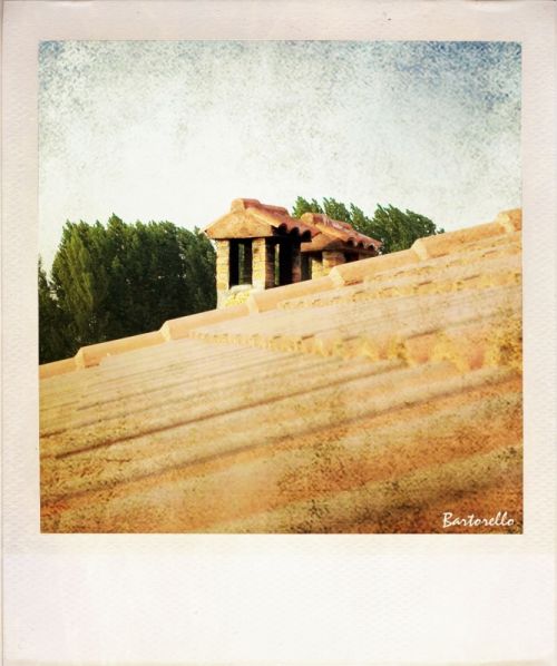 Fotografia de Bartorello - Galeria Fotografica: Por Soria con Polaroid - Foto: Guijosa