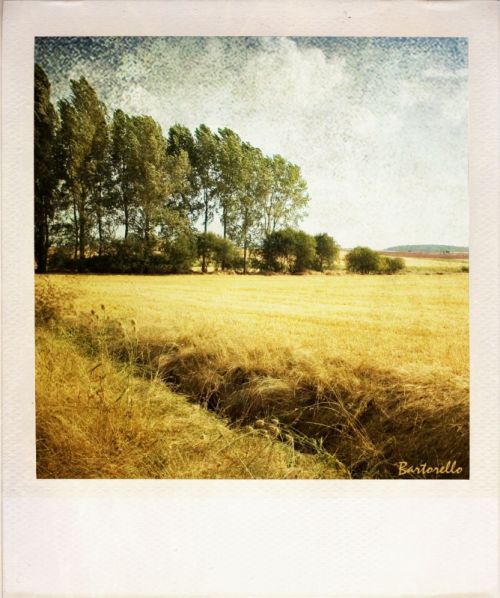 Fotografia de Bartorello - Galeria Fotografica: Por Soria con Polaroid - Foto: Guijosa 2