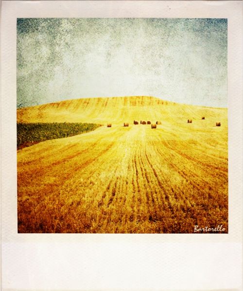 Fotografia de Bartorello - Galeria Fotografica: Por Soria con Polaroid - Foto: Guijosa 3