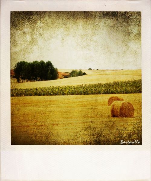 Fotografia de Bartorello - Galeria Fotografica: Por Soria con Polaroid - Foto: Guijosa 4