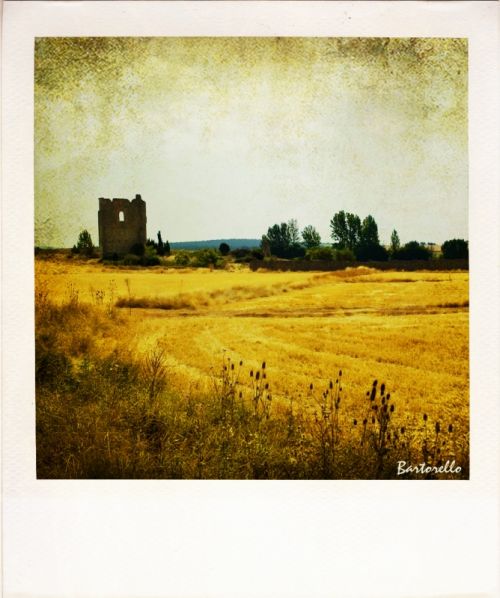 Fotografia de Bartorello - Galeria Fotografica: Por Soria con Polaroid - Foto: Guijosa 5