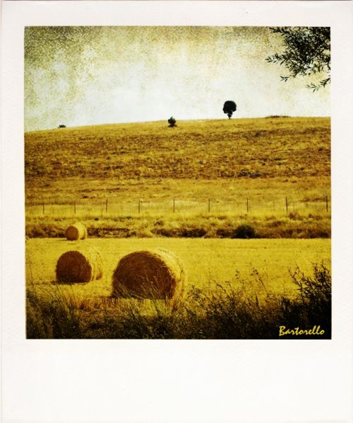 Fotografia de Bartorello - Galeria Fotografica: Por Soria con Polaroid - Foto: Guijosa 6