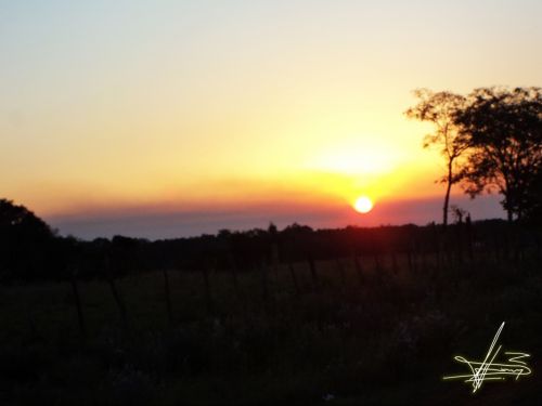 Fotografia de Wadja - Galeria Fotografica: Paraguay, cielo de andutes - Foto: 